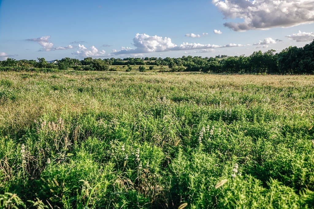 16.9 acres in Washington County - photo 25