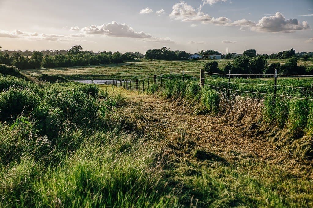 16.9 acres in Washington County gallery image 4