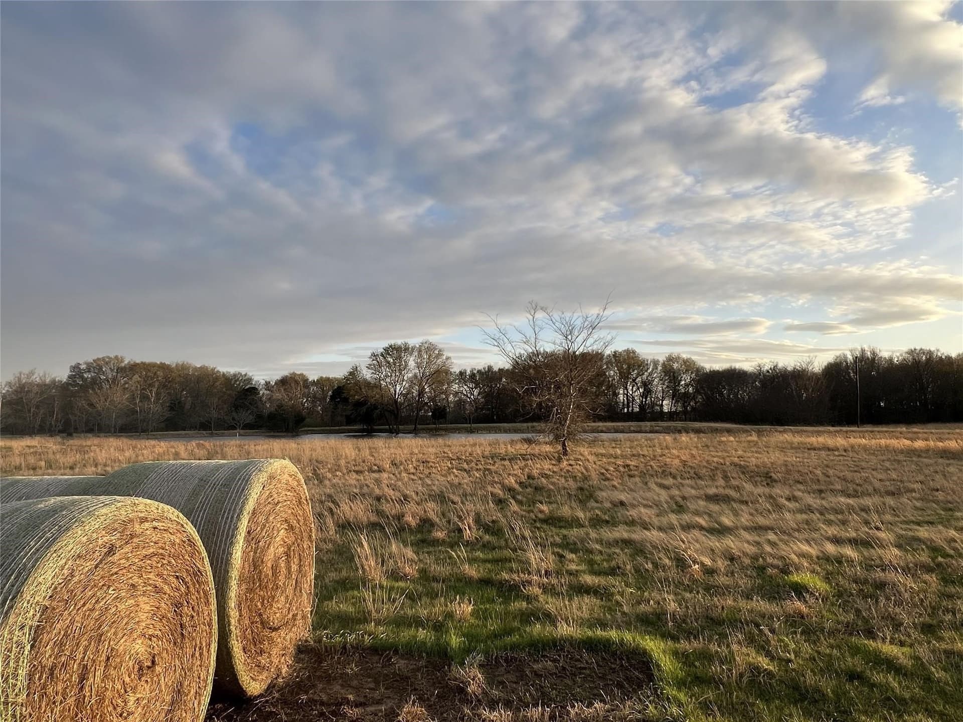 50 acres in Van Zandt County - photo 3