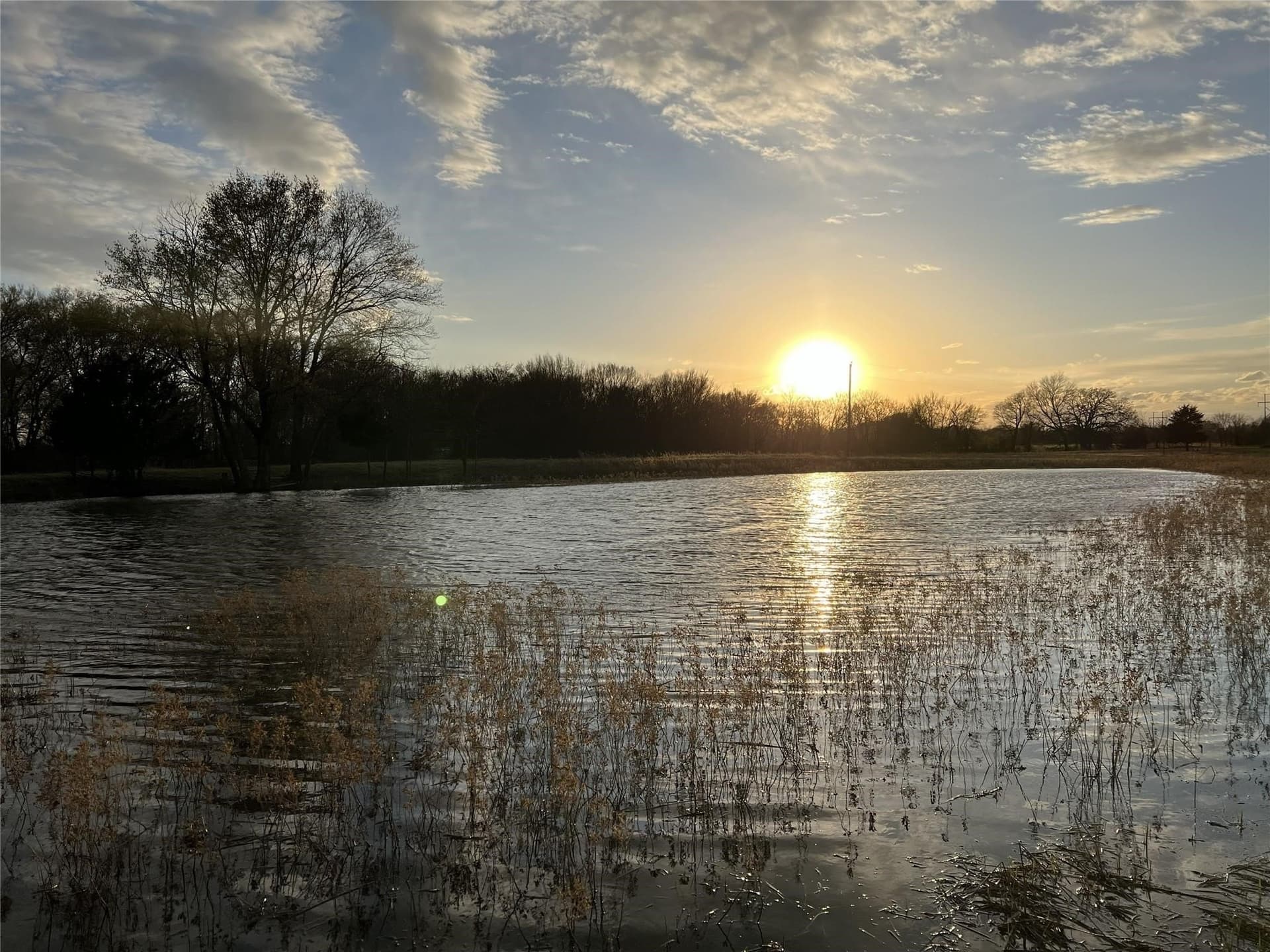 50 acres in Van Zandt County - photo 4