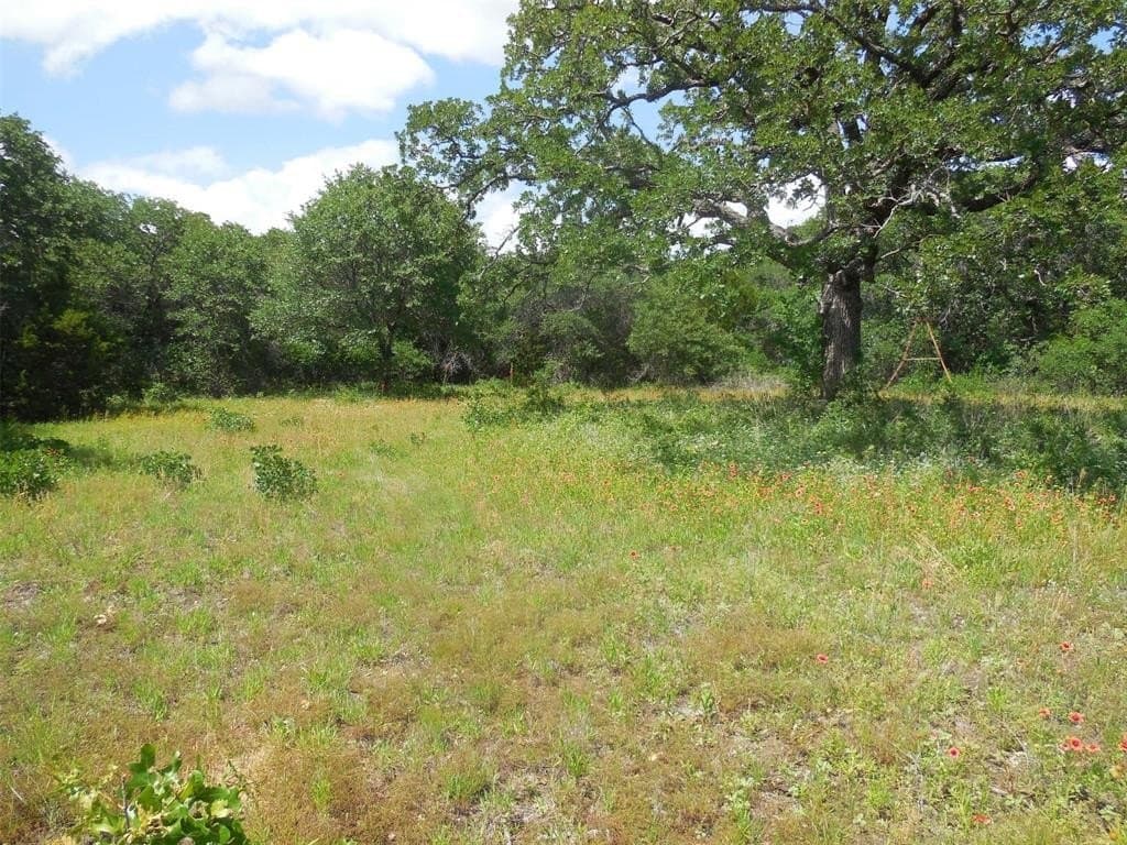 13.29 acres in Eastland County gallery image 2