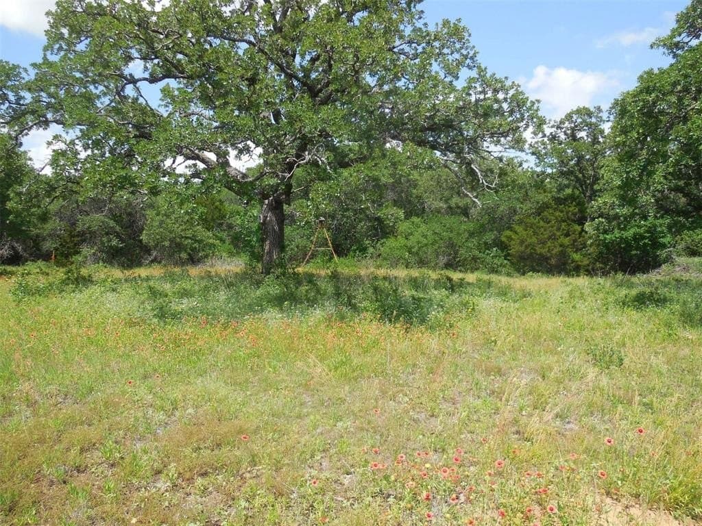 13.29 acres in Eastland County gallery image 3