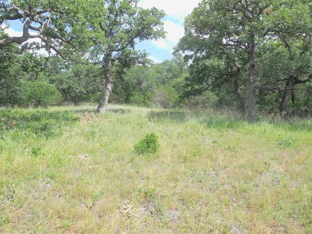 13.29 acres in Eastland County gallery image 4
