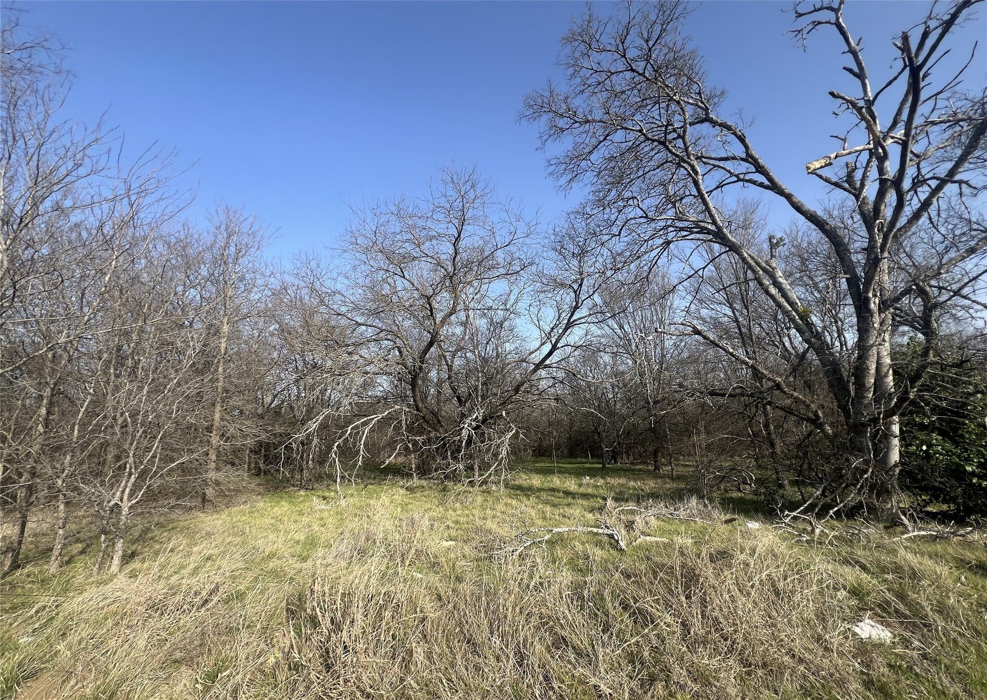 9.8 acres in McLennan County - photo 2