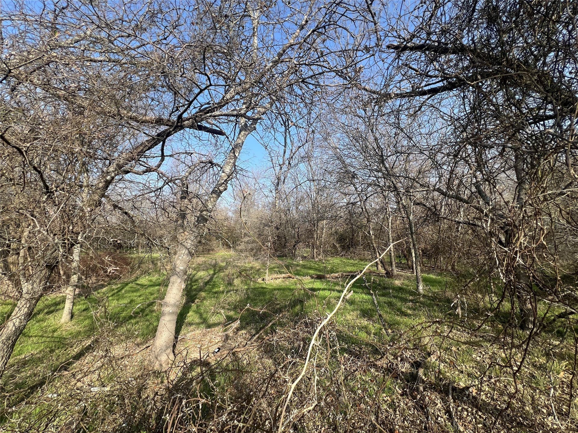 9.8 acres in McLennan County - photo 4
