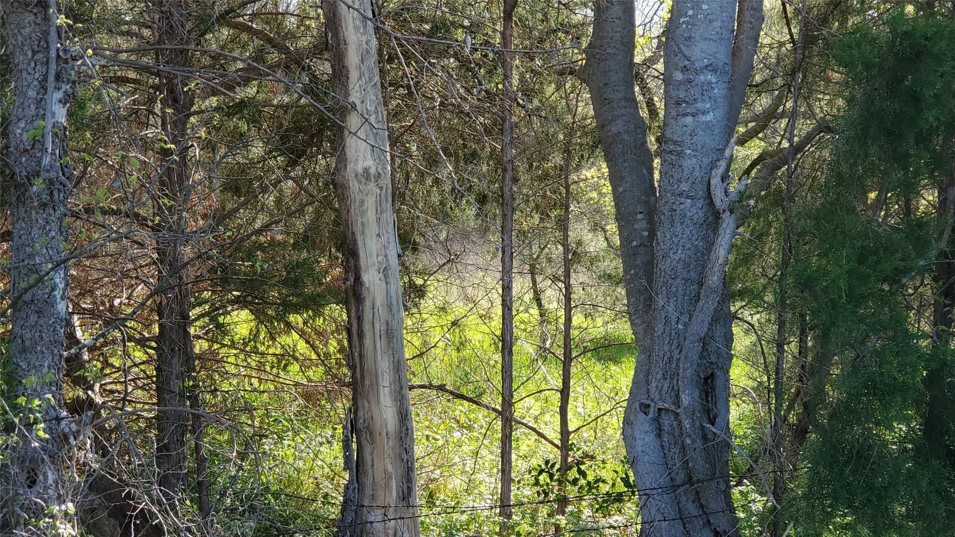 9.8 acres in McLennan County - photo 3
