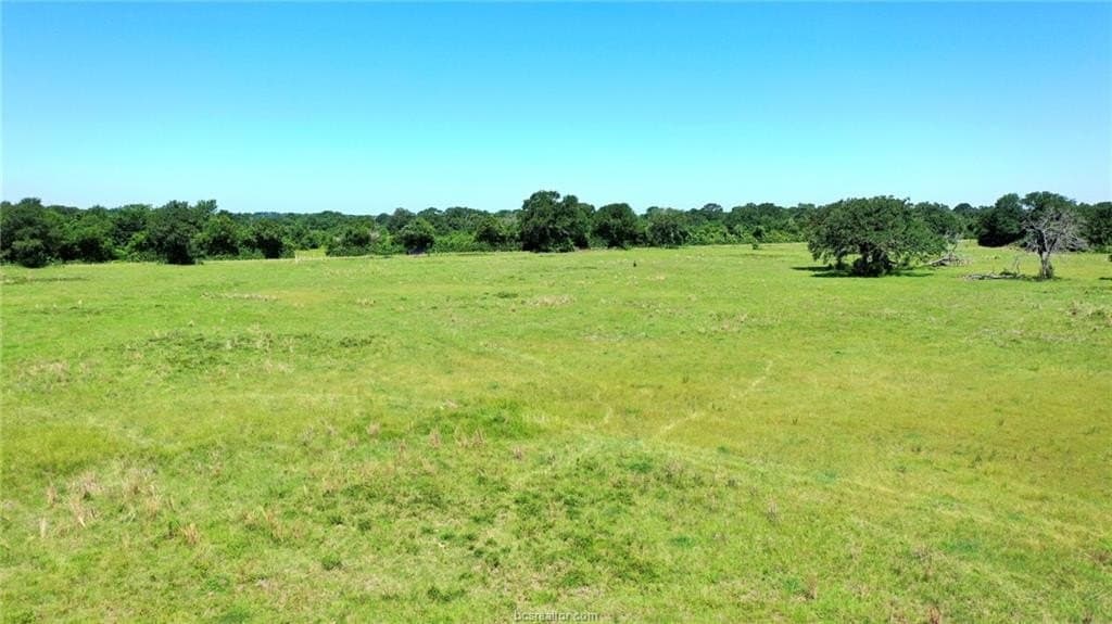 72.6 acres in Madison County - photo 40