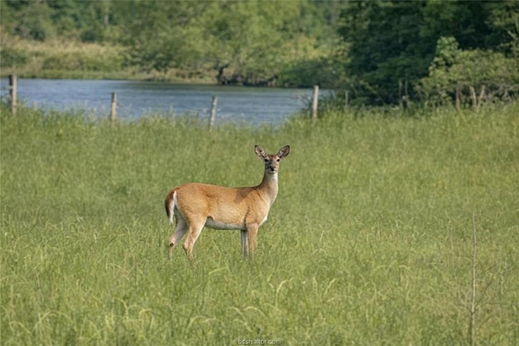 72.6 acres in Madison County gallery image 3