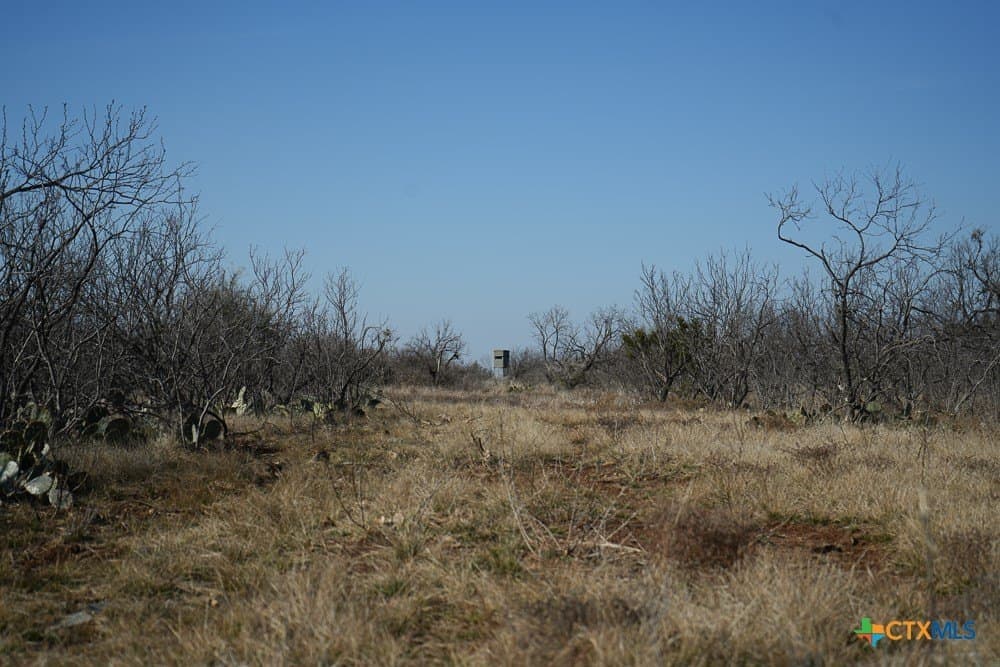 43 acres in McCulloch County - photo 23