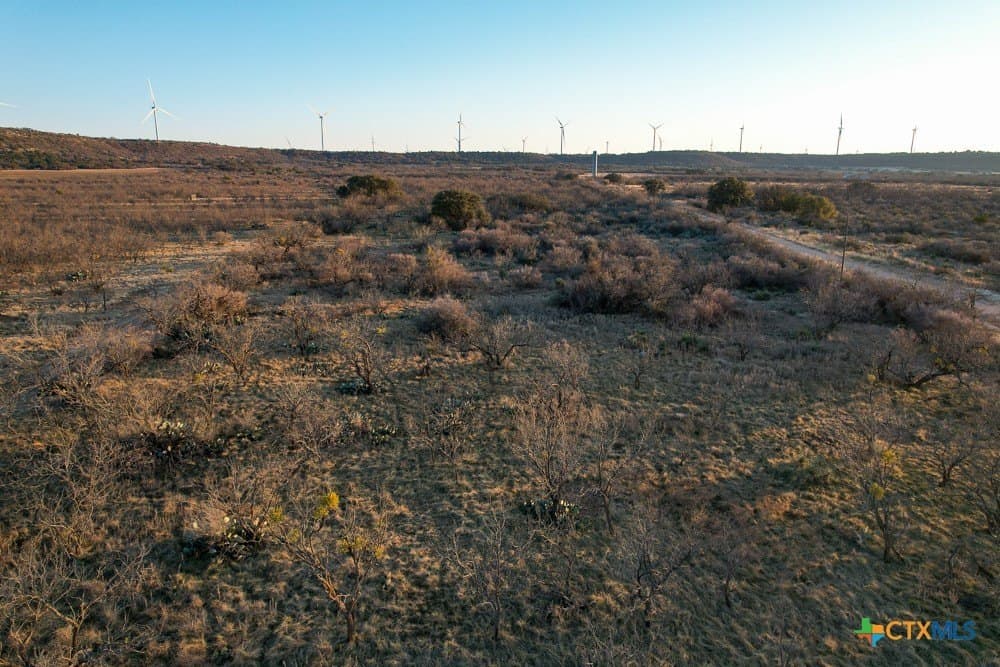 43 acres in McCulloch County featured view