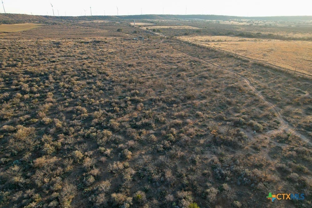 43 acres in McCulloch County gallery image 2
