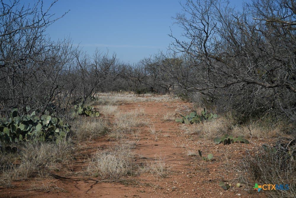 43 acres in McCulloch County - photo 24