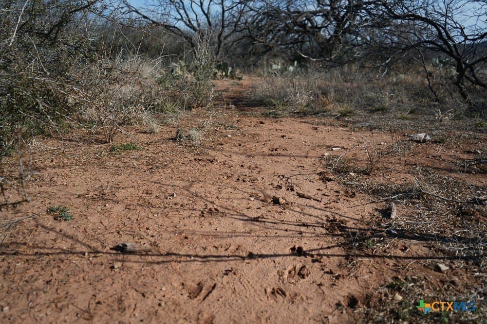 43 acres in McCulloch County - photo 27