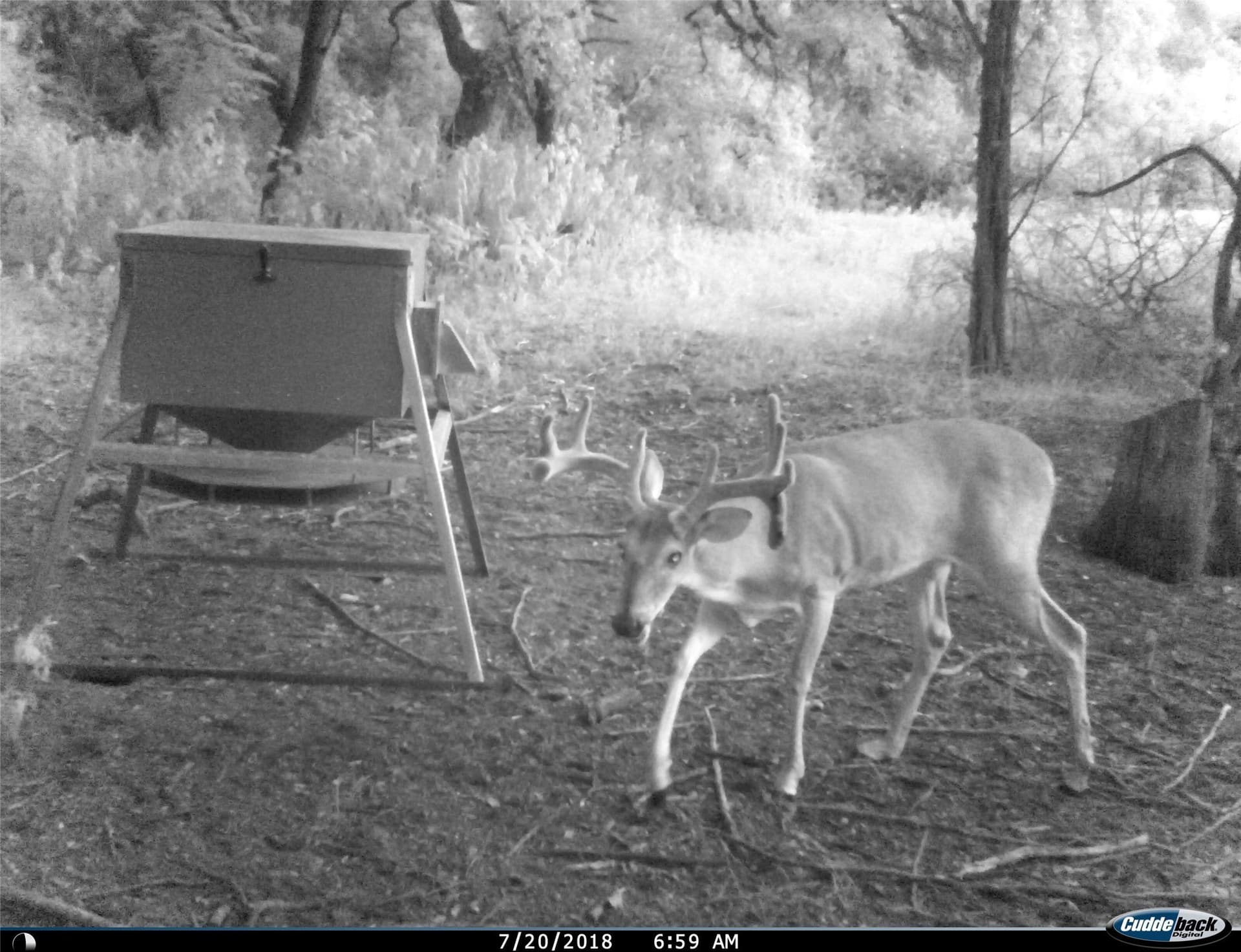 93.88 acres in Hill County - photo 37