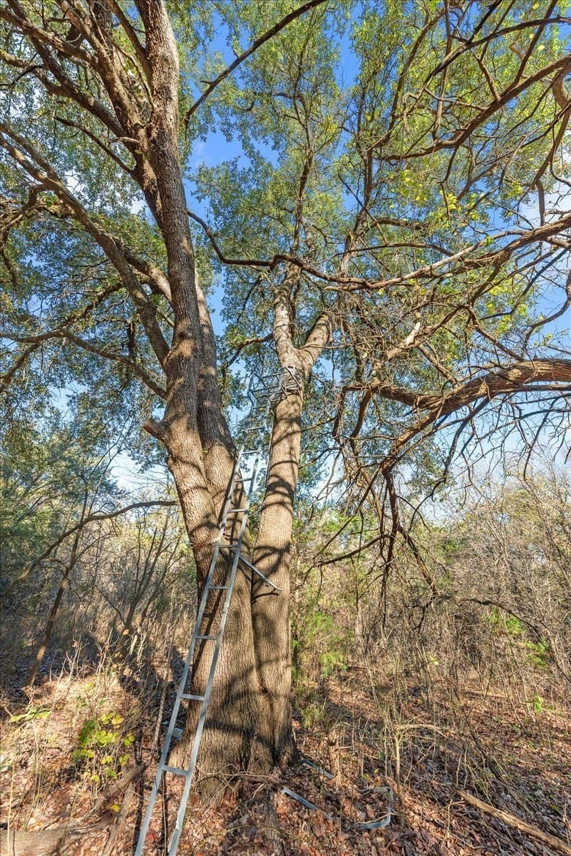 93.88 acres in Hill County - photo 38