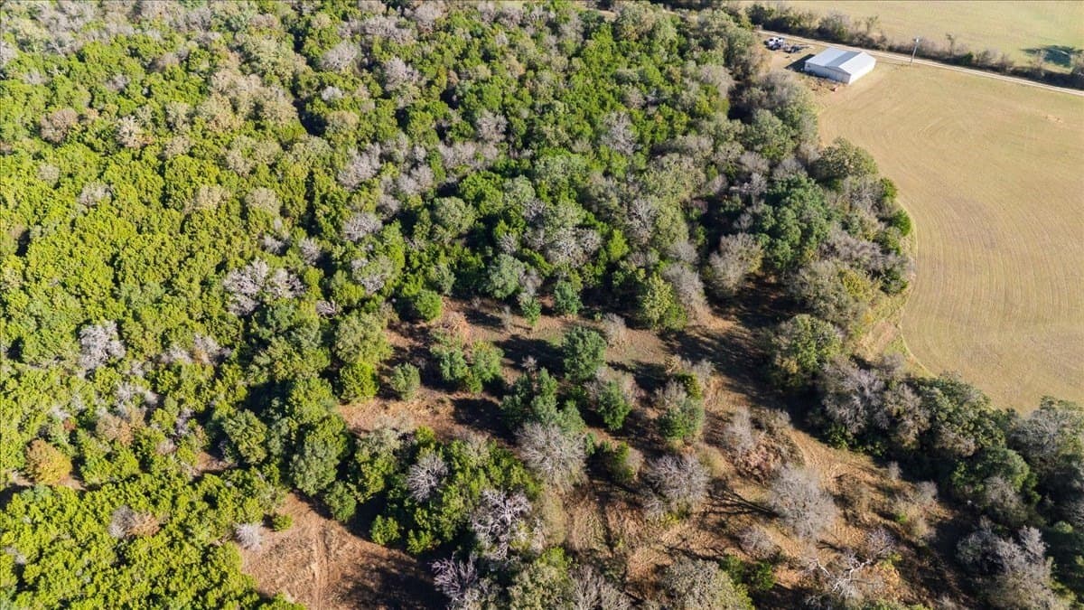 93.88 acres in Hill County - photo 7