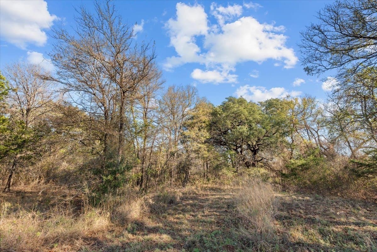 93.88 acres in Hill County - photo 29