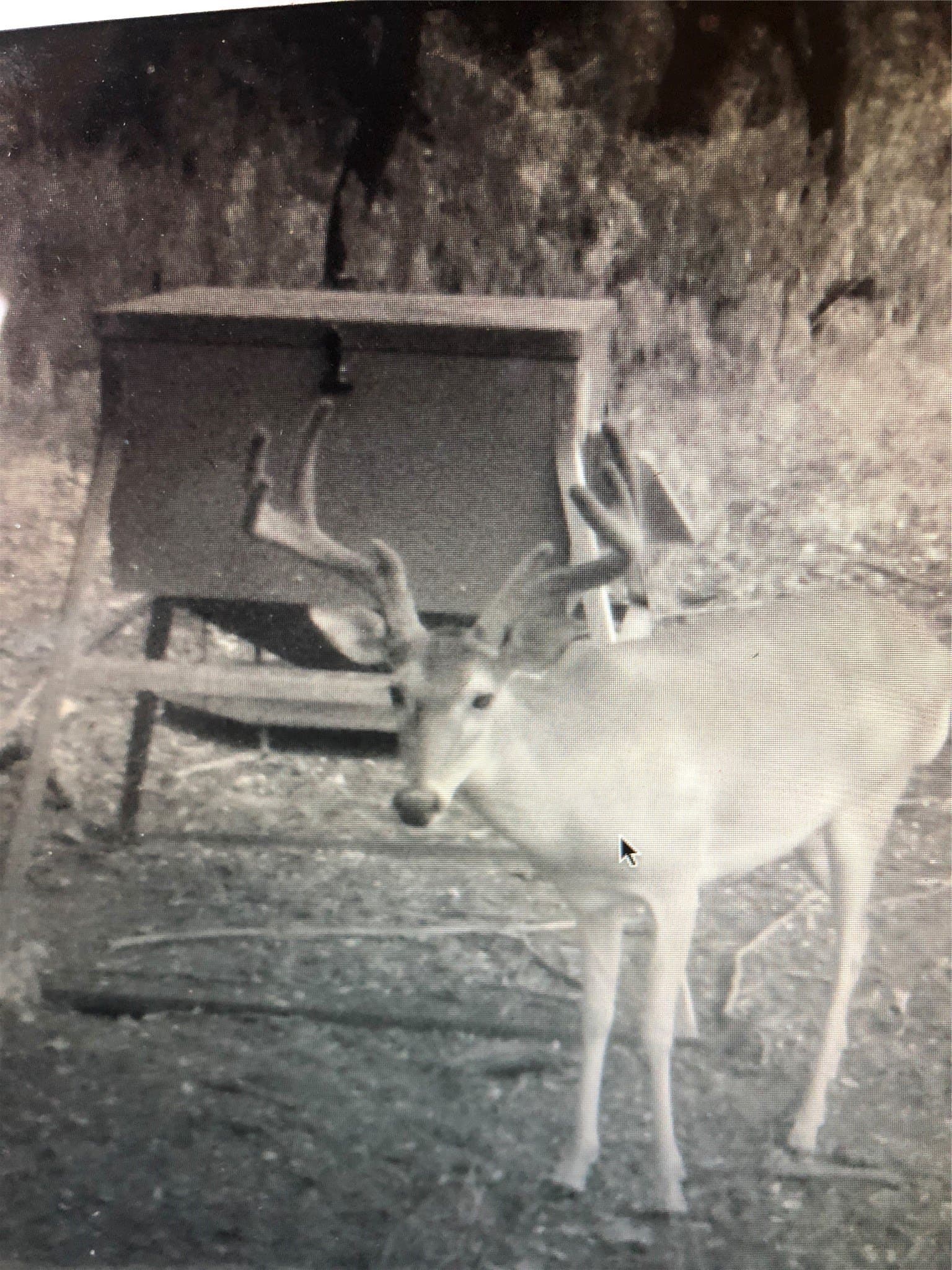 93.88 acres in Hill County - photo 35