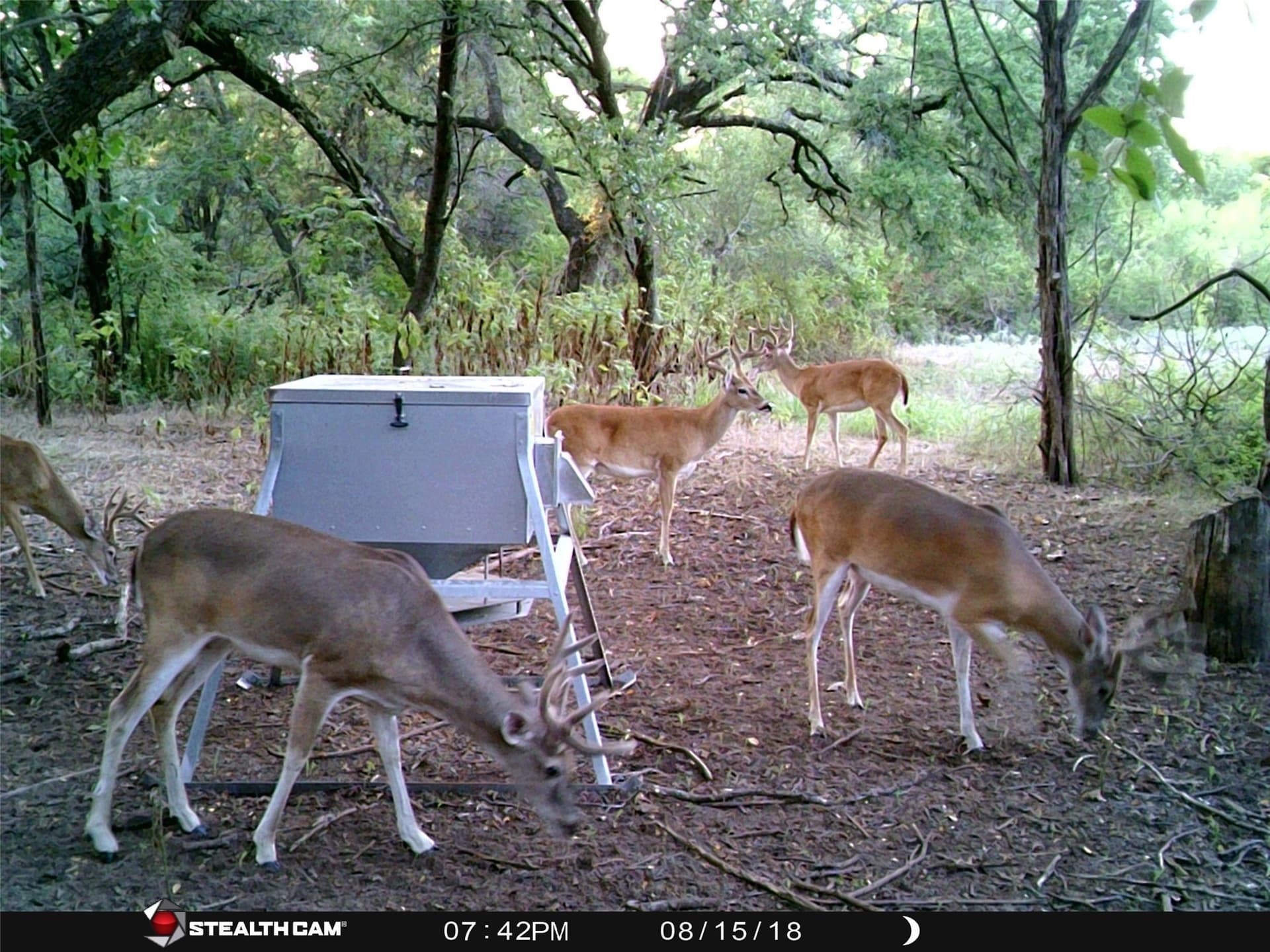 93.88 acres in Hill County - photo 36