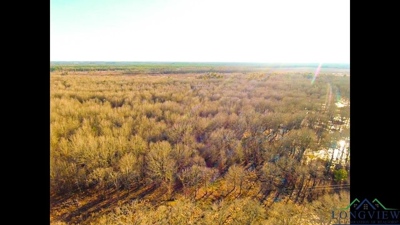 15 acres in Red River County gallery image 4