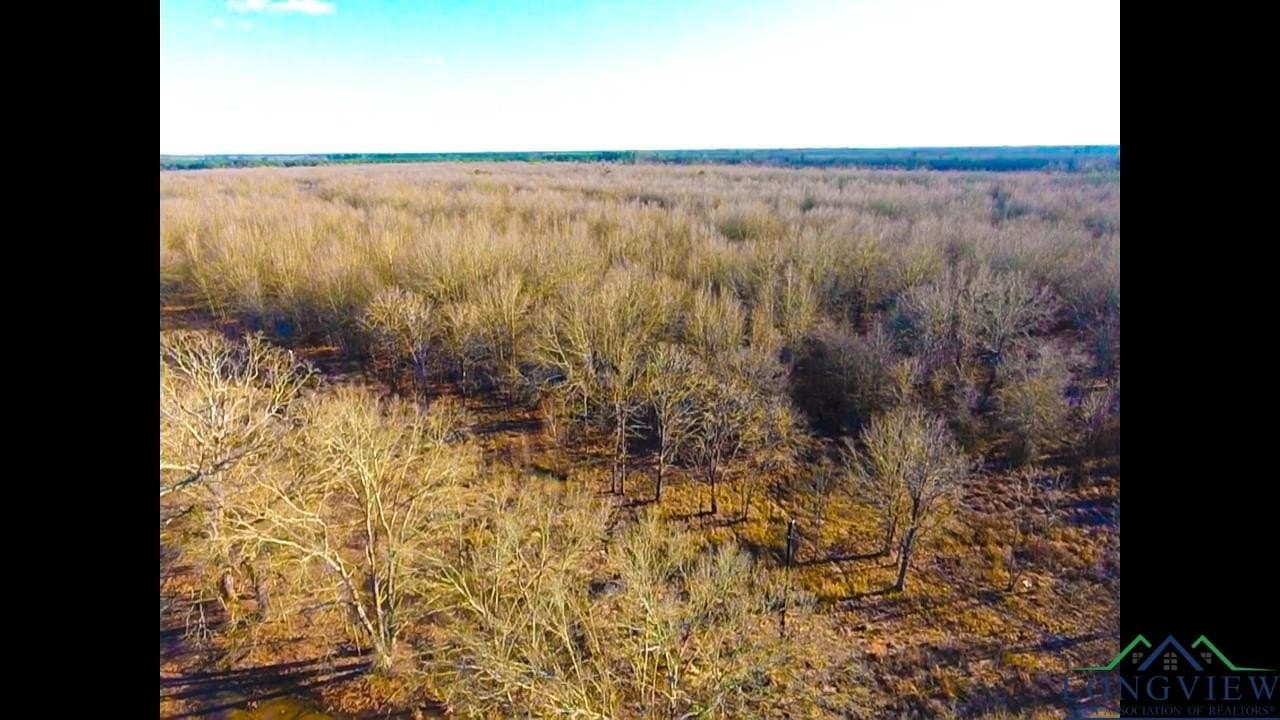15 acres in Red River County gallery image 2