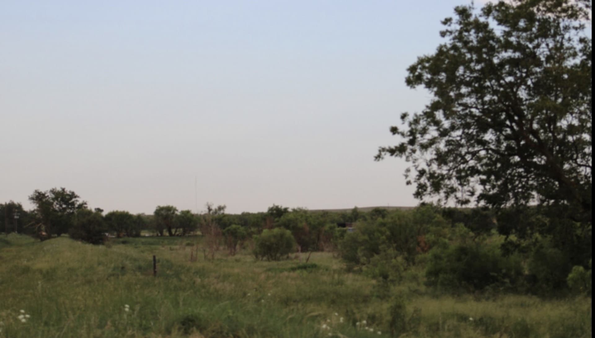 240 acres in Fisher County gallery image 3