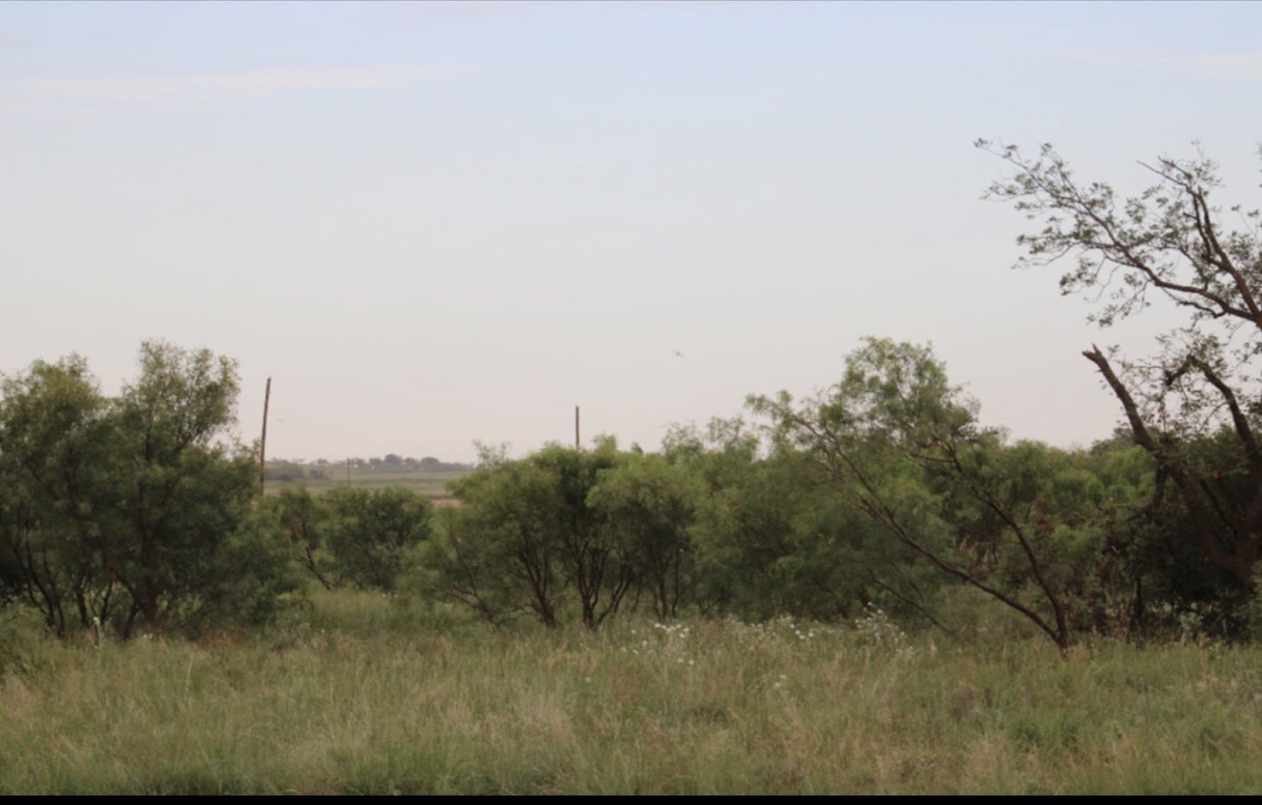 240 acres in Fisher County featured view