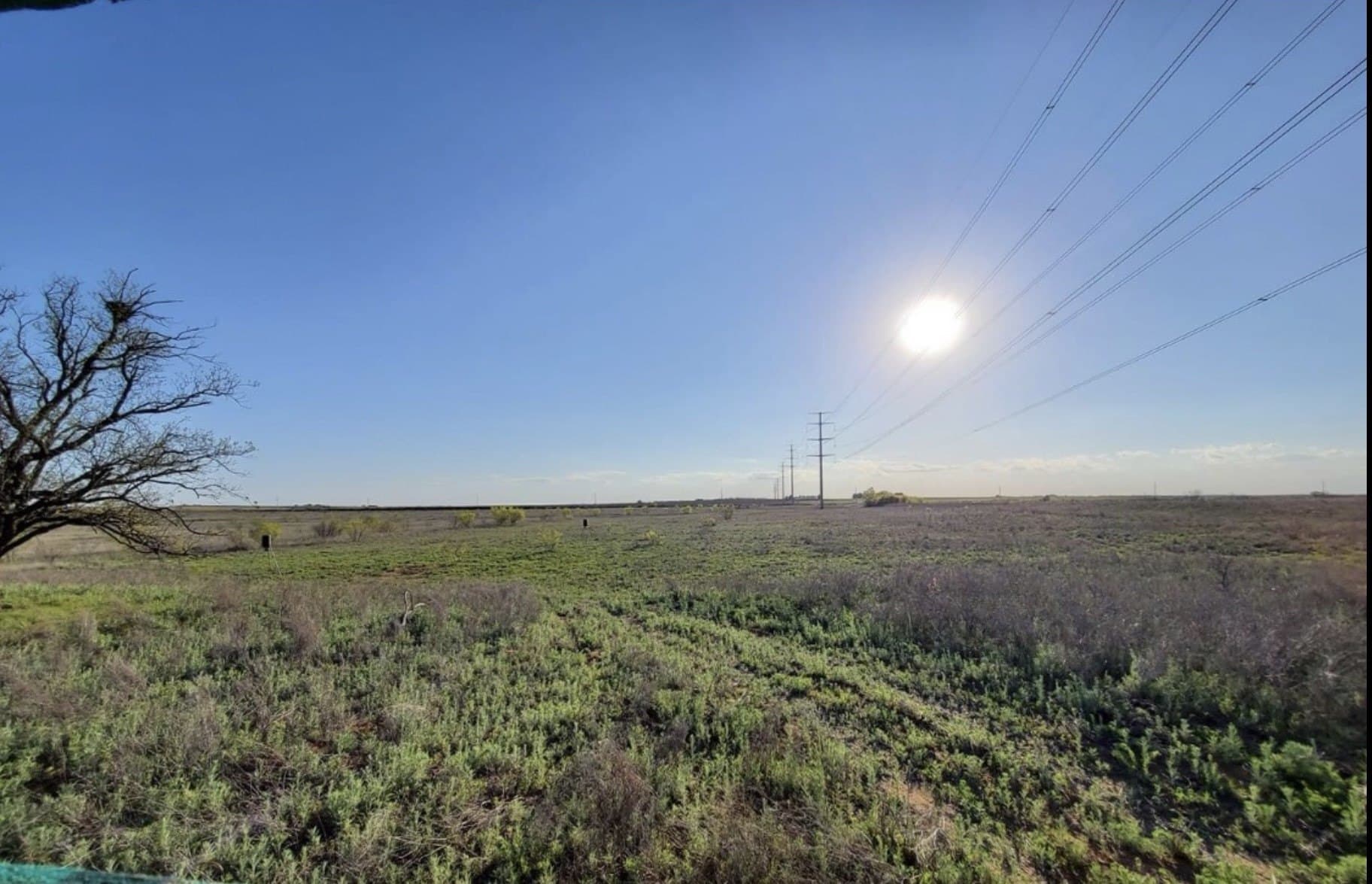 240 acres in Fisher County gallery image 4