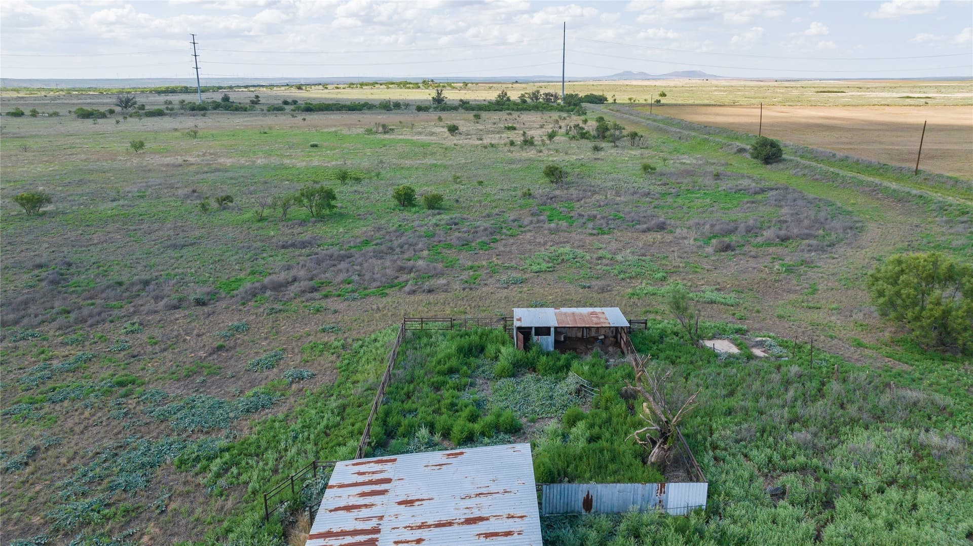 240 acres in Fisher County gallery image 2