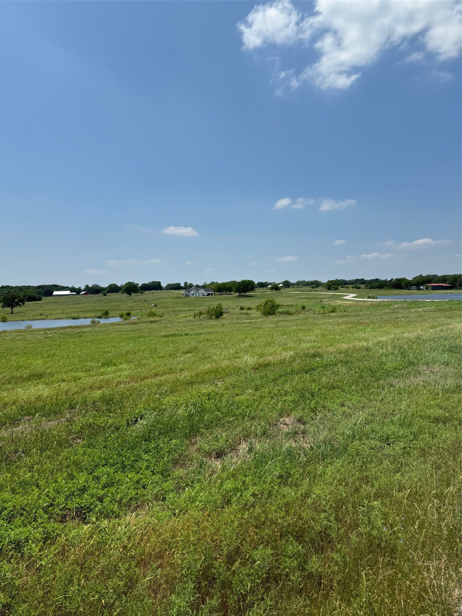 11 acres in Cooke County featured view