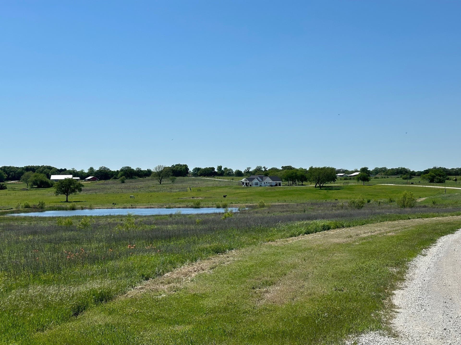 11 acres in Cooke County gallery image 4