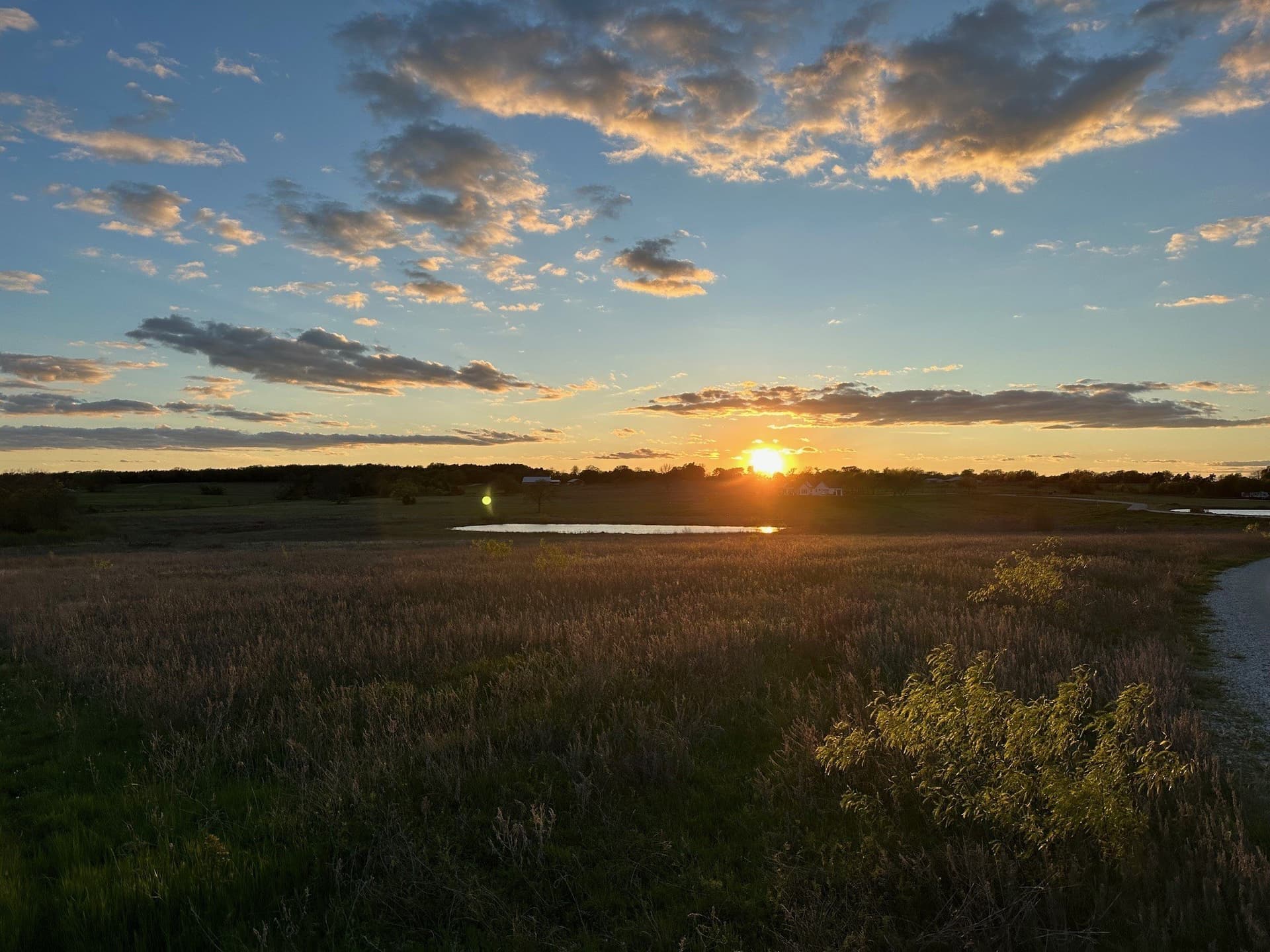 11 acres in Cooke County - photo 8