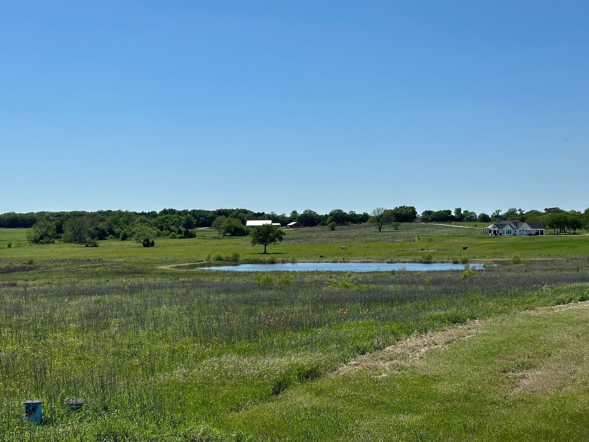 11 acres in Cooke County gallery image 3