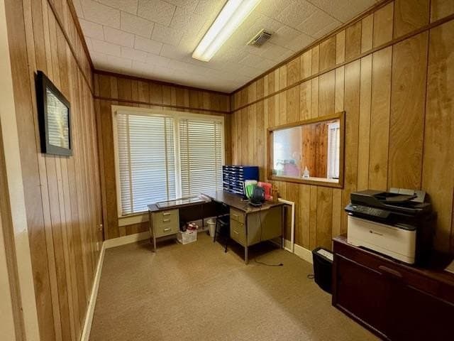 0.22 acres in Texas County - photo 13