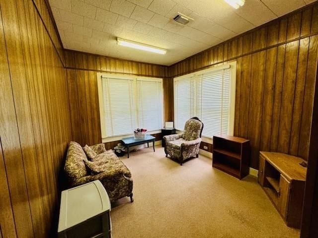 0.22 acres in Texas County - photo 18