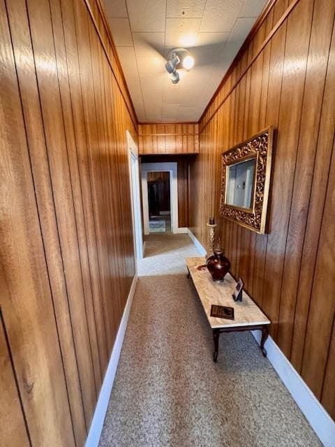 0.22 acres in Texas County - photo 8