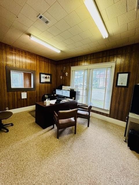 0.22 acres in Texas County - photo 11