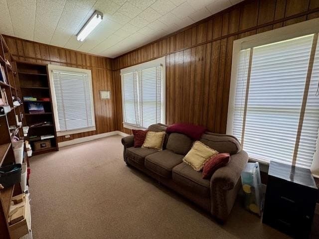 0.22 acres in Texas County - photo 15