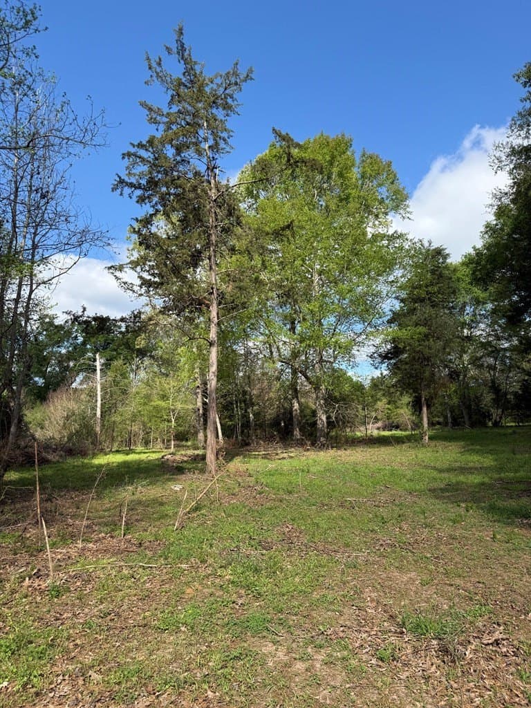 4 acres in Texas County featured view