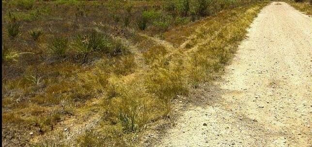 2.27 acres in Midland County