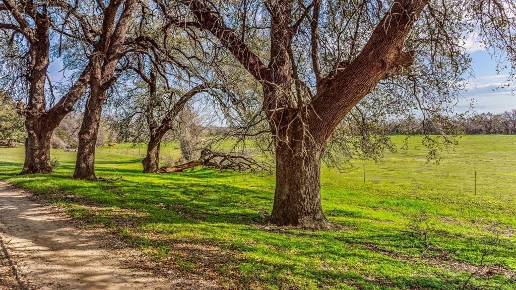 45 acres in Erath County featured view