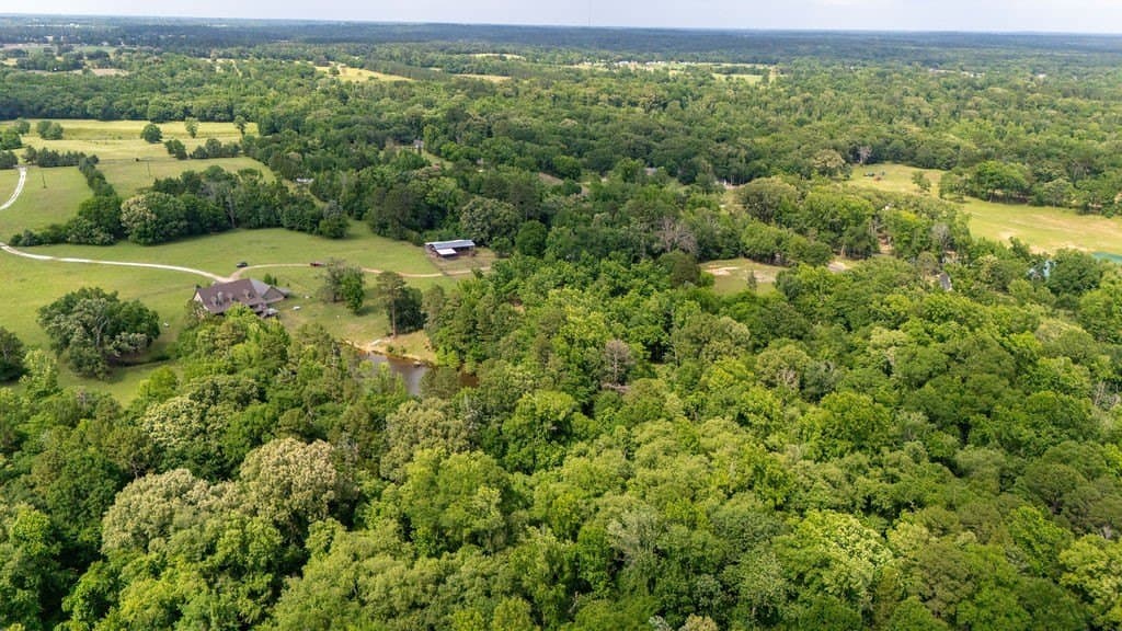88.11 acres in Franklin (TX) County - photo 39