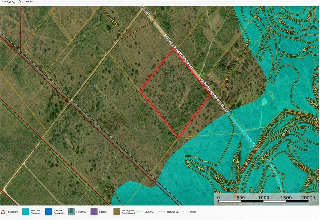 15.01 acres in Bee County gallery image 3