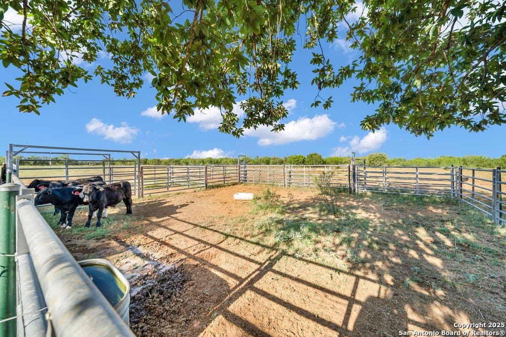 45.04 acres in Medina County - photo 27