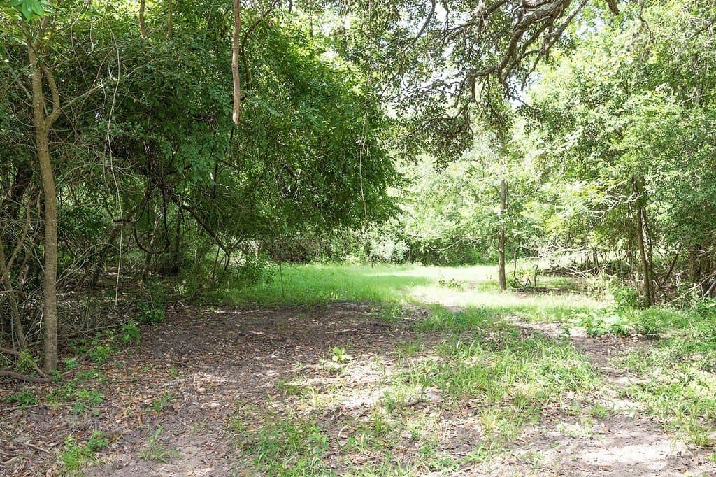 13.62 acres in Lavaca County - photo 4