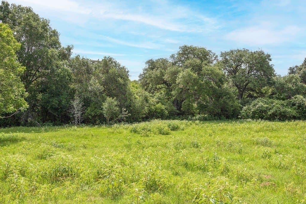 13.62 acres in Lavaca County - photo 5