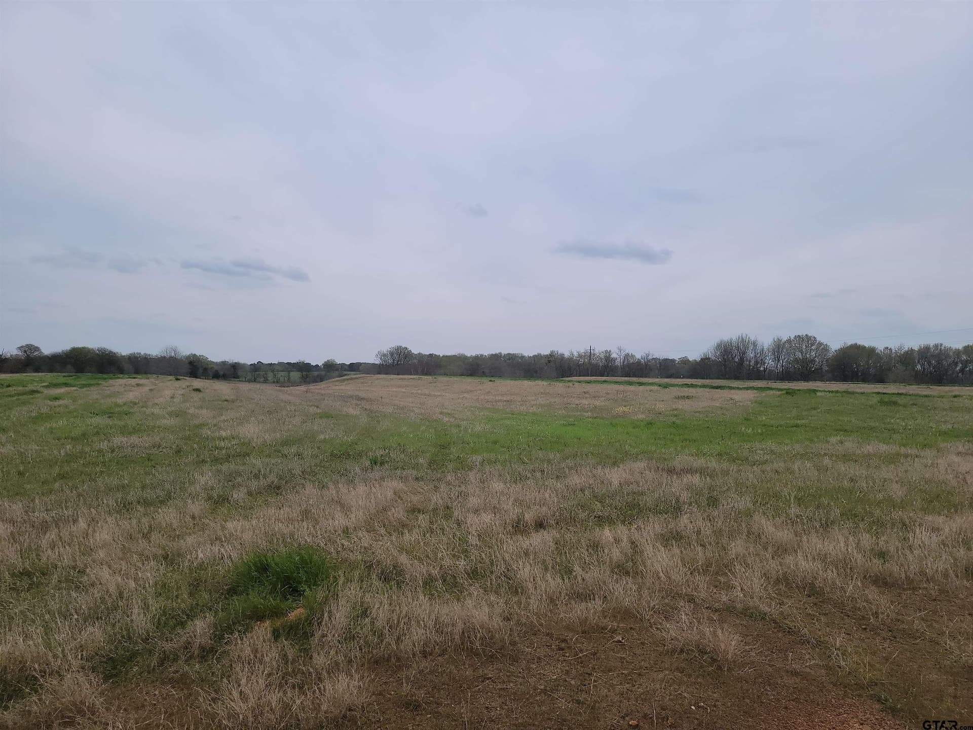 80.11 acres in Camp County - photo 17