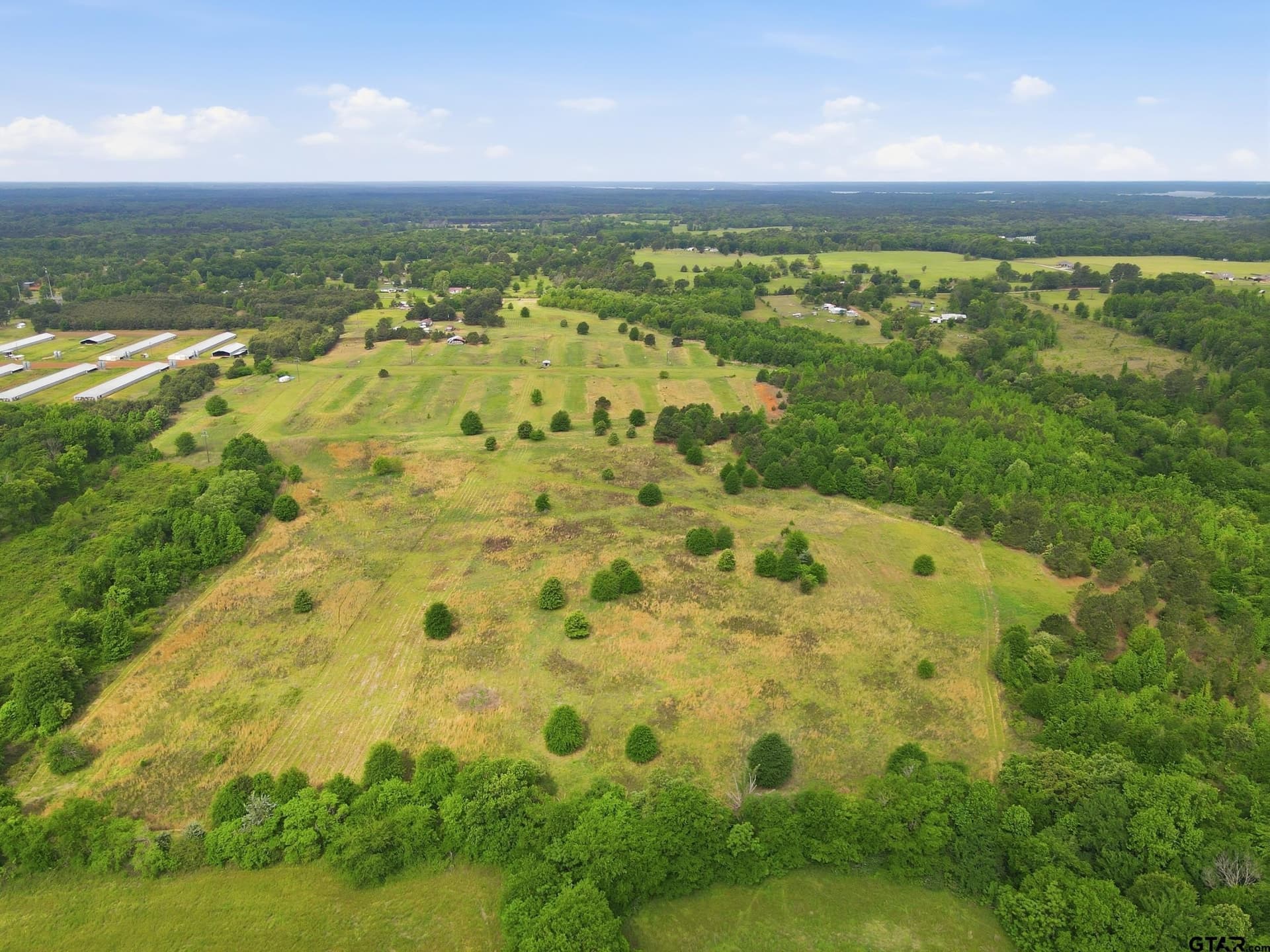 80.11 acres in Camp County - photo 7