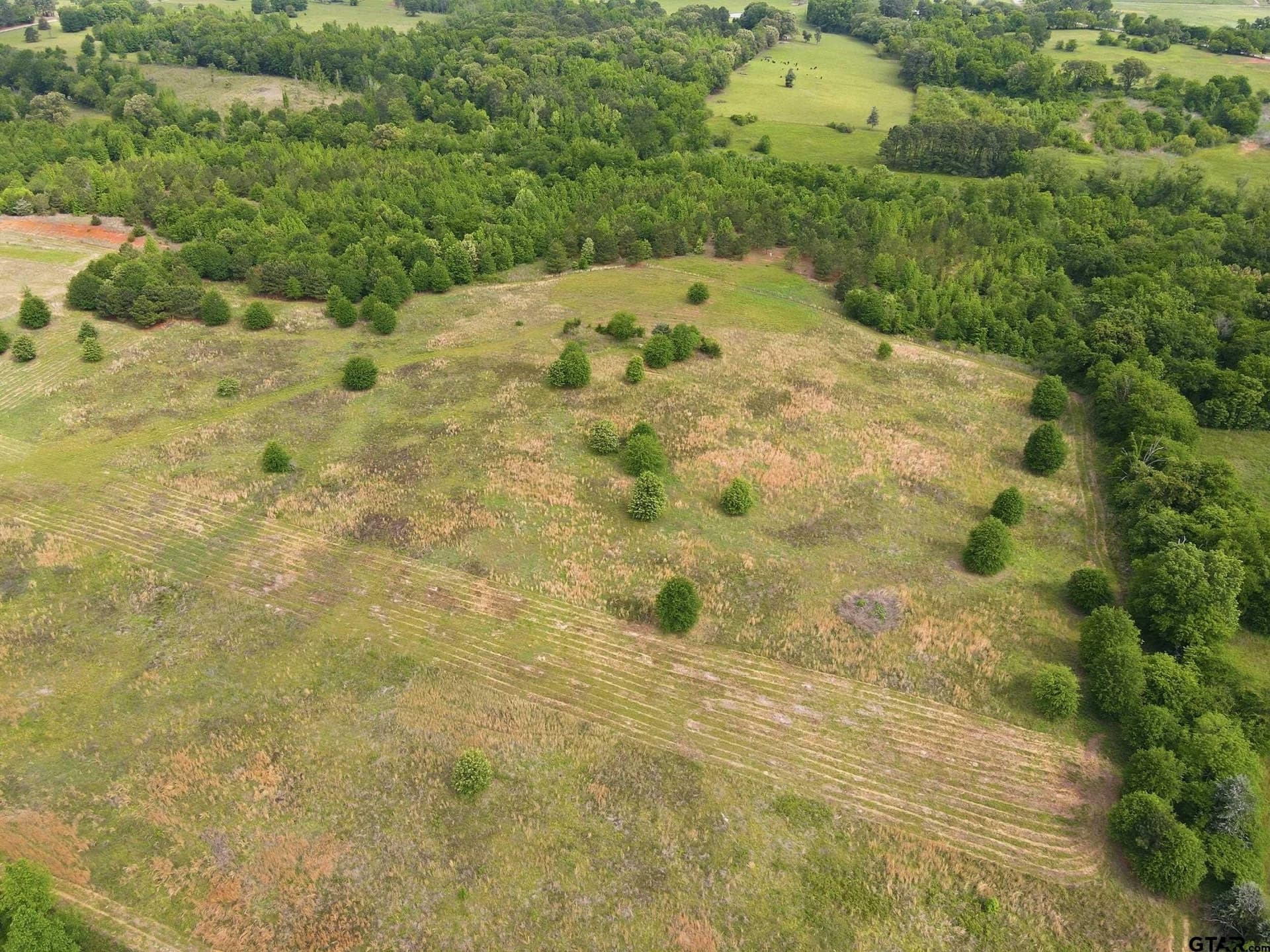 80.11 acres in Camp County - photo 6