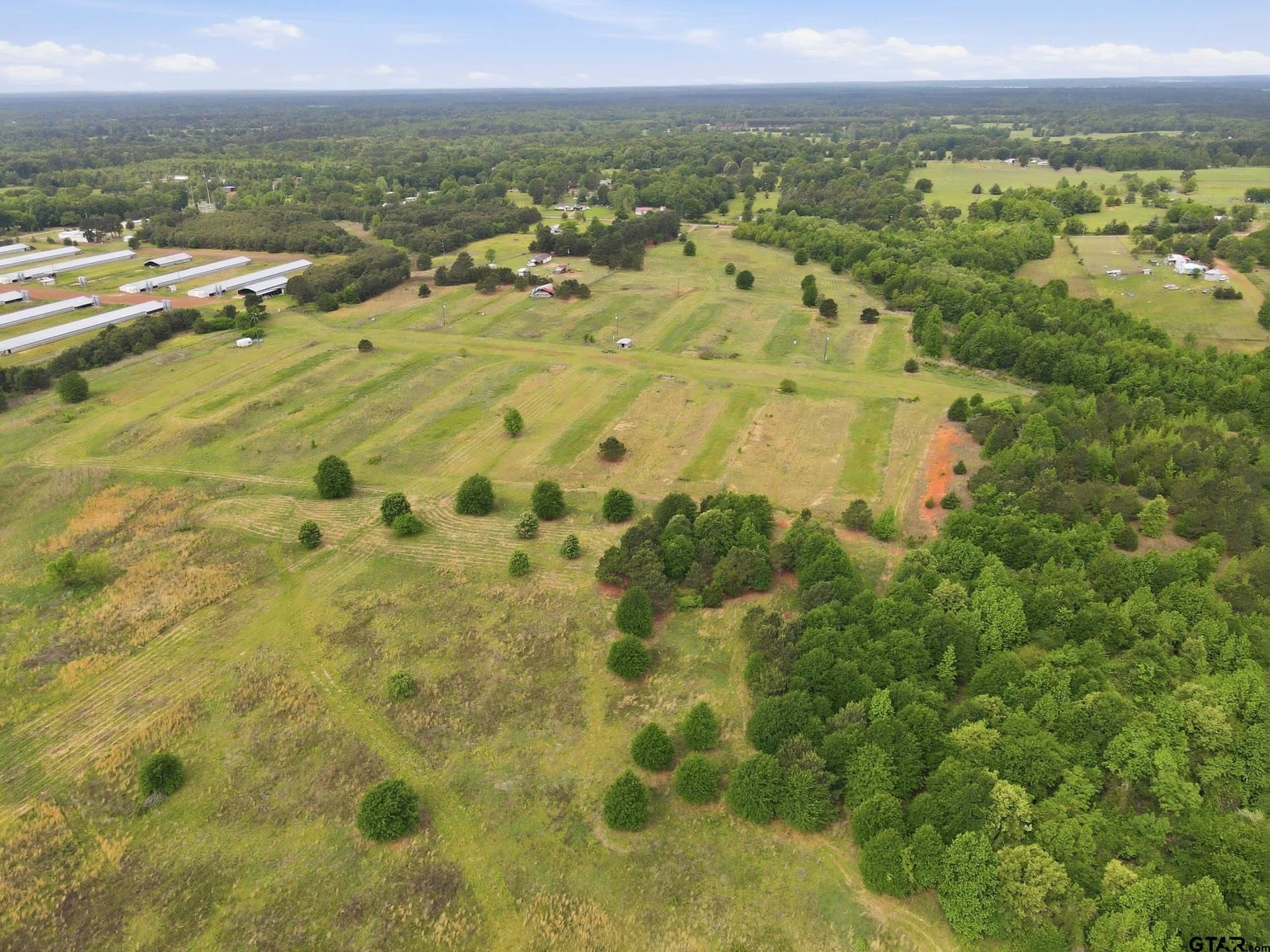 80.11 acres in Camp County - photo 11